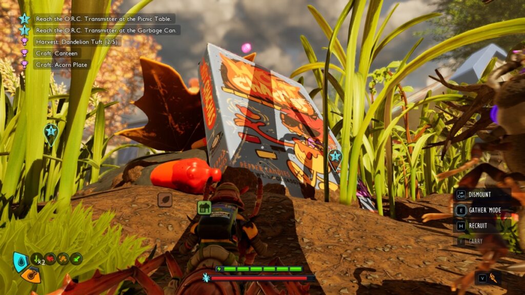 Best Blueberry Farming Location