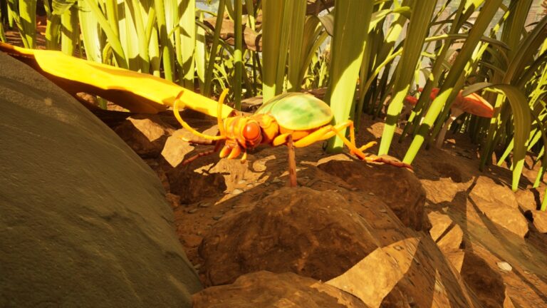 Grounded 2 Bombardier Beetle Locations