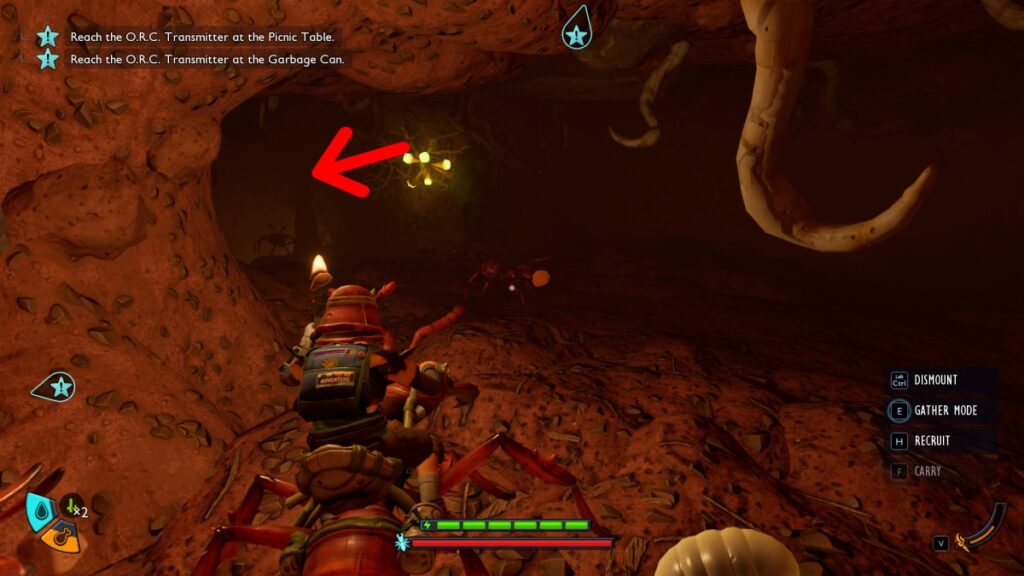 Toxic Anthill Tunnel Entrance